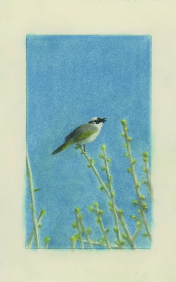 변영근(Byun Younggeun) 작가 사진